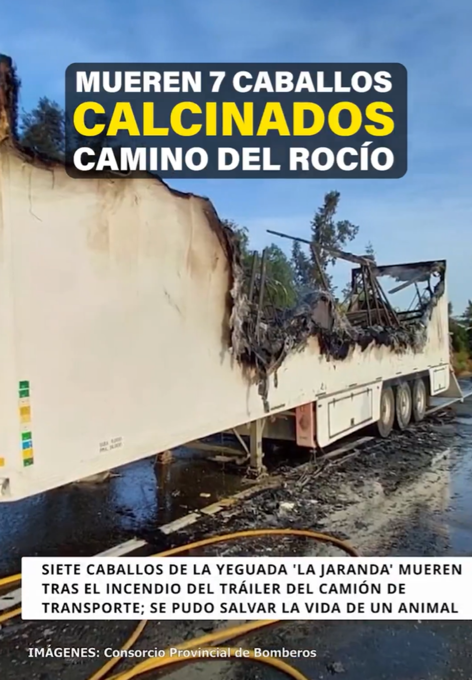 Ocho caballos mueren calcinados camino de El Rocío: PACMA exige responsabilidades y el fin del uso de animales en la romería