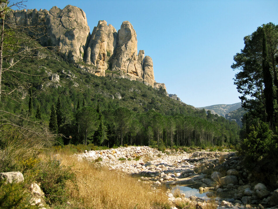 Alerten de possibles irregularitats en la selecció de la direcció del Parc Natural dels Ports