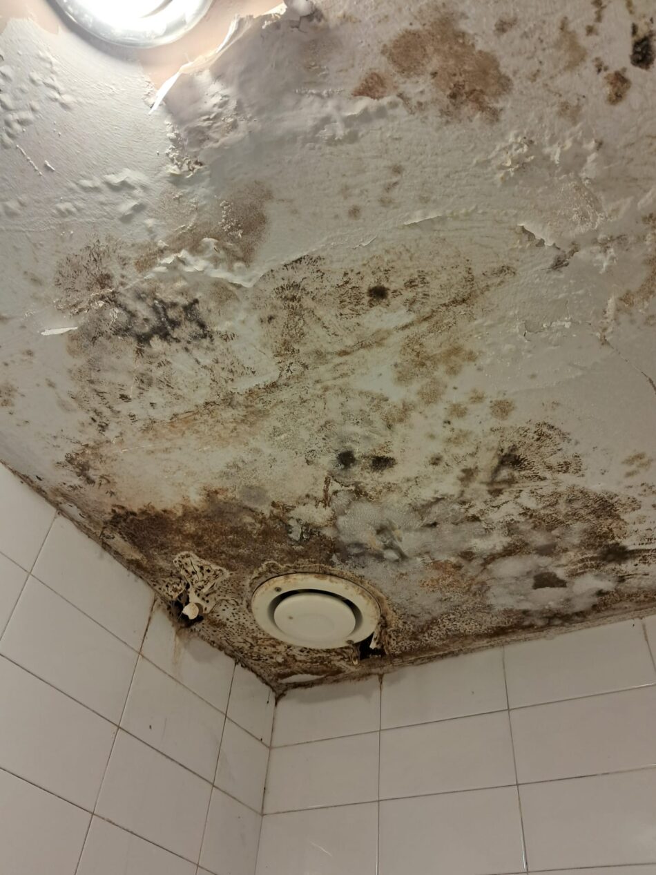 CCOO denuncia el grave deterioro de la Farmacia Hospitalaria del Hospital Universitario de Puerto Real (Cádiz): “No se puede garantizar una atención segura entre goteras, moho y hacinamiento”