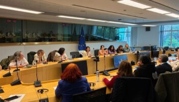 Podemos Castilla-La Mancha lleva al Parlamento Europeo la lucha de las camareras de piso