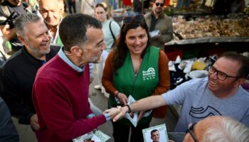 Antonio Maíllo propone prohibir las renovables en suelos agrícolas productivos para proteger el campo andaluz