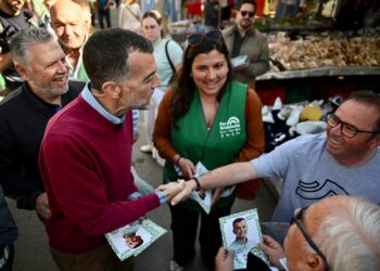 Antonio Maíllo propone prohibir las renovables en suelos agrícolas productivos para proteger el campo andaluz