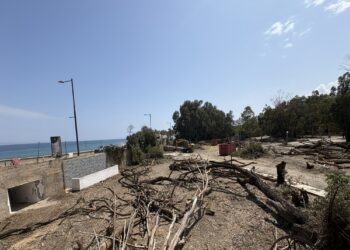 Salvemos Mojácar denuncia la tala ilegal de los últimos arboles de la playa de Mojácar