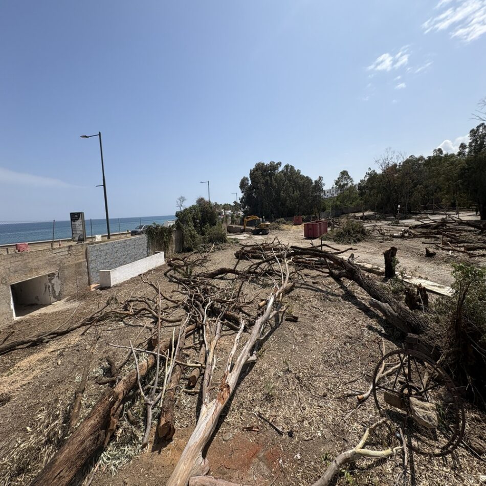 Salvemos Mojácar denuncia la tala ilegal de los últimos arboles de la playa de Mojácar
