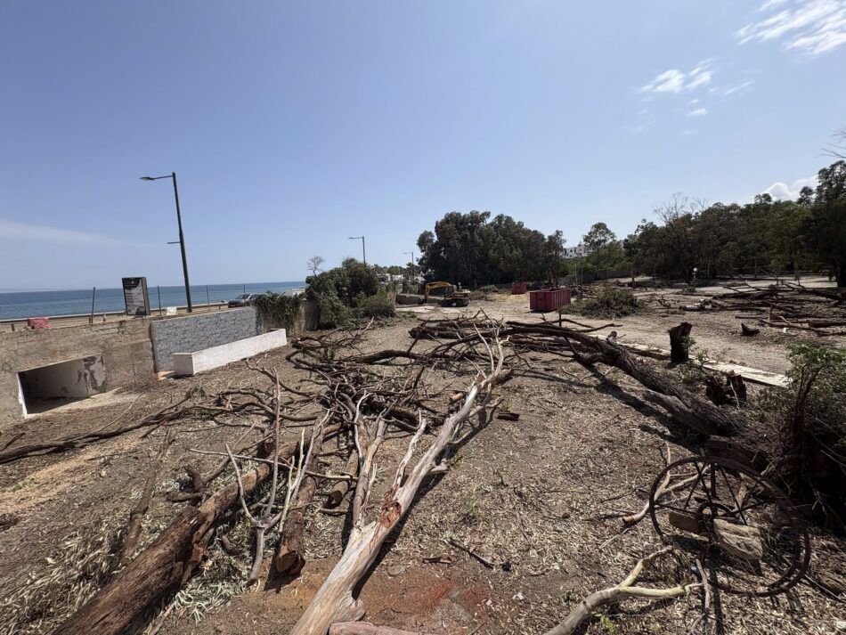Salvemos Mojácar denuncia la tala ilegal de los últimos arboles de la playa de Mojácar
