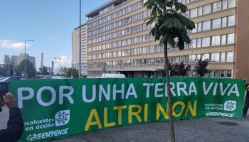 Ecoloxistas en Acción y Greenpeace exigen a Altri en Oporto que retire su proyecto de macrocelulosa en A Ulloa