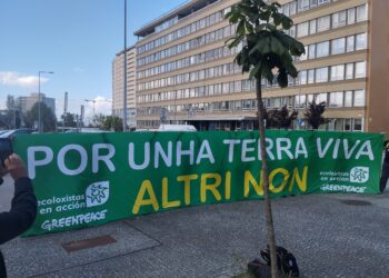 Ecoloxistas en Acción y Greenpeace exigen a Altri en Oporto que retire su proyecto de macrocelulosa en A Ulloa