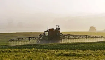 El 46% de los alimentos consumidos en España está contaminado con plaguicidas, el 69% de la fruta