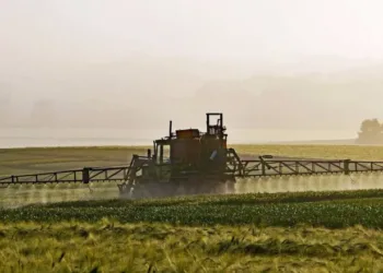 El 46% de los alimentos consumidos en España está contaminado con plaguicidas, el 69% de la fruta
