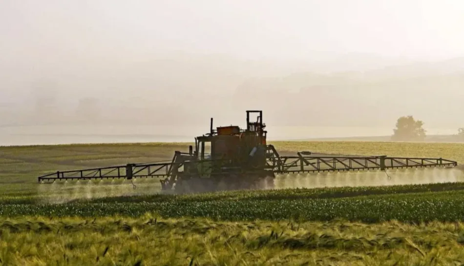 El 46% de los alimentos consumidos en España está contaminado con plaguicidas, el 69% de la fruta