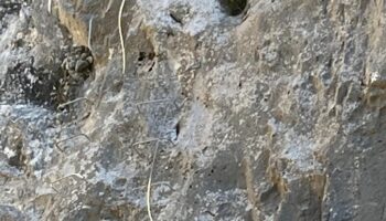 Coordinadora Ecoloxista d’Asturies reclama el cierre de la vía ferrata de Teverga
