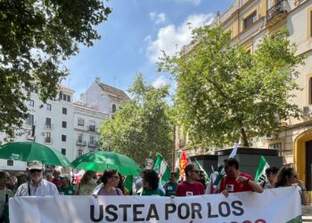 Movilizaciones en toda Andalucía el 9 de mayo bajo el lema “Salvemos lo público”