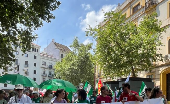 Movilizaciones en toda Andalucía el 9 de mayo bajo el lema “Salvemos lo público”