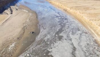 Ecologistas y sociedad civil convocan una manifestación en Sanlúcar contra los vertidos al Guadalquivir el 9 de mayo
