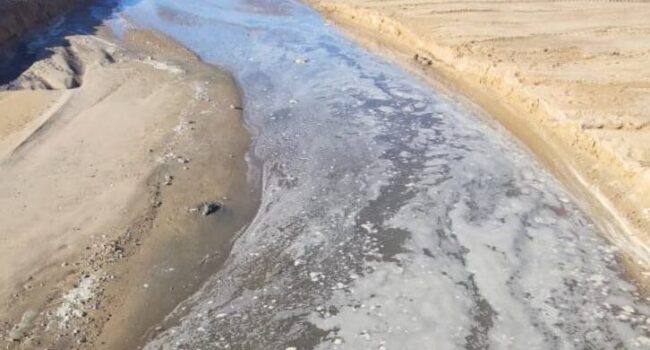 Ecologistas y sociedad civil convocan una manifestación en Sanlúcar contra los vertidos al Guadalquivir el 9 de mayo