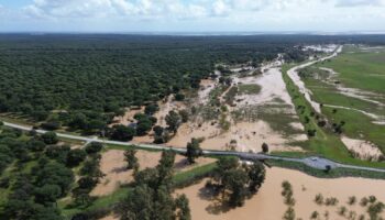 Alianza Verde y Podemos pedirán en la Comisión de Agricultura la restauración del río Guadiamar para proteger Doñana