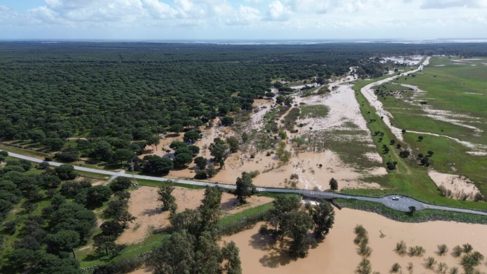 Alianza Verde y Podemos pedirán en la Comisión de Agricultura la restauración del río Guadiamar para proteger Doñana