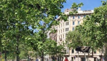 BComú, Junts y ERC denuncian la dejadez de funciones del Govern Collboni por no convocar el Plenario de las huelgas municipales