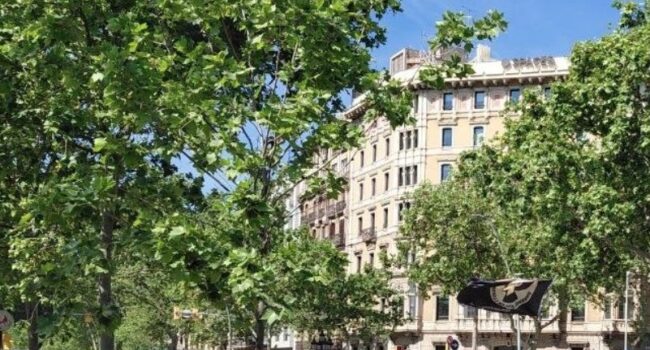 BComú, Junts y ERC denuncian la dejadez de funciones del Govern Collboni por no convocar el Plenario de las huelgas municipales