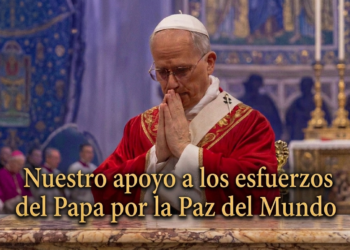 Declaración: Nuestro apoyo a los esfuerzos del Papa por la Paz del Mundo