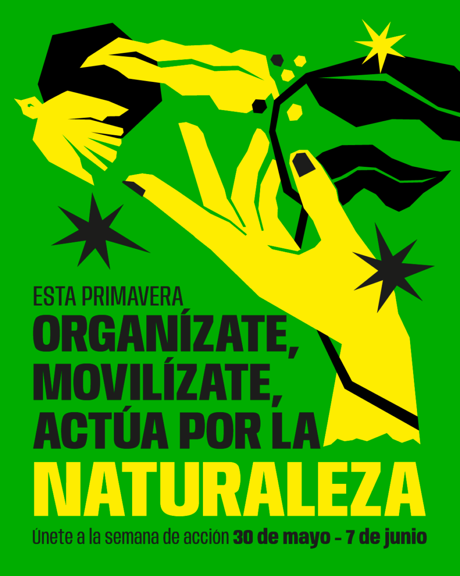 La naturaleza se levanta: cerca de medio centenar de acciones reclaman restaurar los ecosistemas y frenar su destrucción