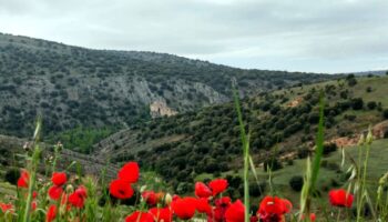 Recurso de Casación ante el Tribunal Supremo por la sentencia del Cerro de los Moros