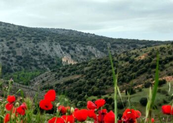 Recurso de Casación ante el Tribunal Supremo por la sentencia del Cerro de los Moros