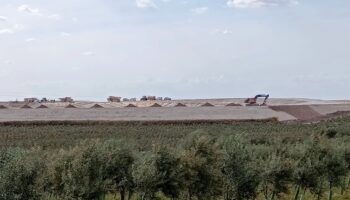 Un juzgado amenaza con multas al Ayuntamiento de Morón por las balsas ilegales de Aceitunas Guadalquivir