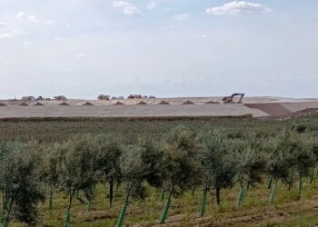 Un juzgado amenaza con multas al Ayuntamiento de Morón por las balsas ilegales de Aceitunas Guadalquivir