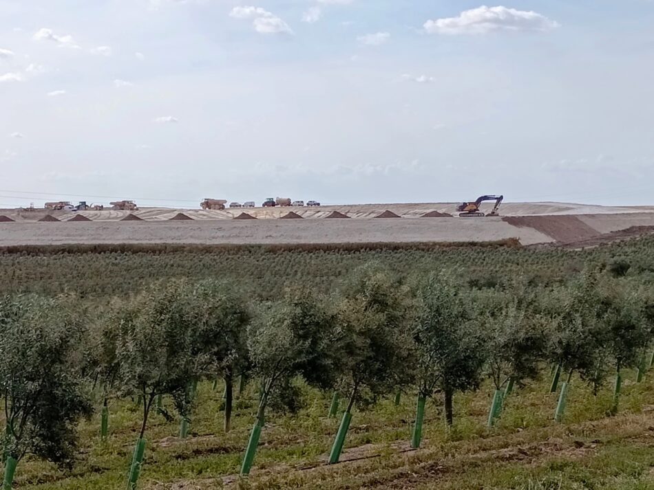 Un juzgado amenaza con multas al Ayuntamiento de Morón por las balsas ilegales de Aceitunas Guadalquivir