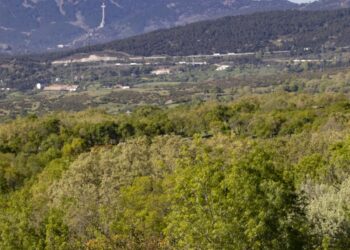 Ecologistas en Acción presenta recurso contra la licencia de construcción de una plaza para capeas en suelo protegido y a más de 1.200 metros de altitud