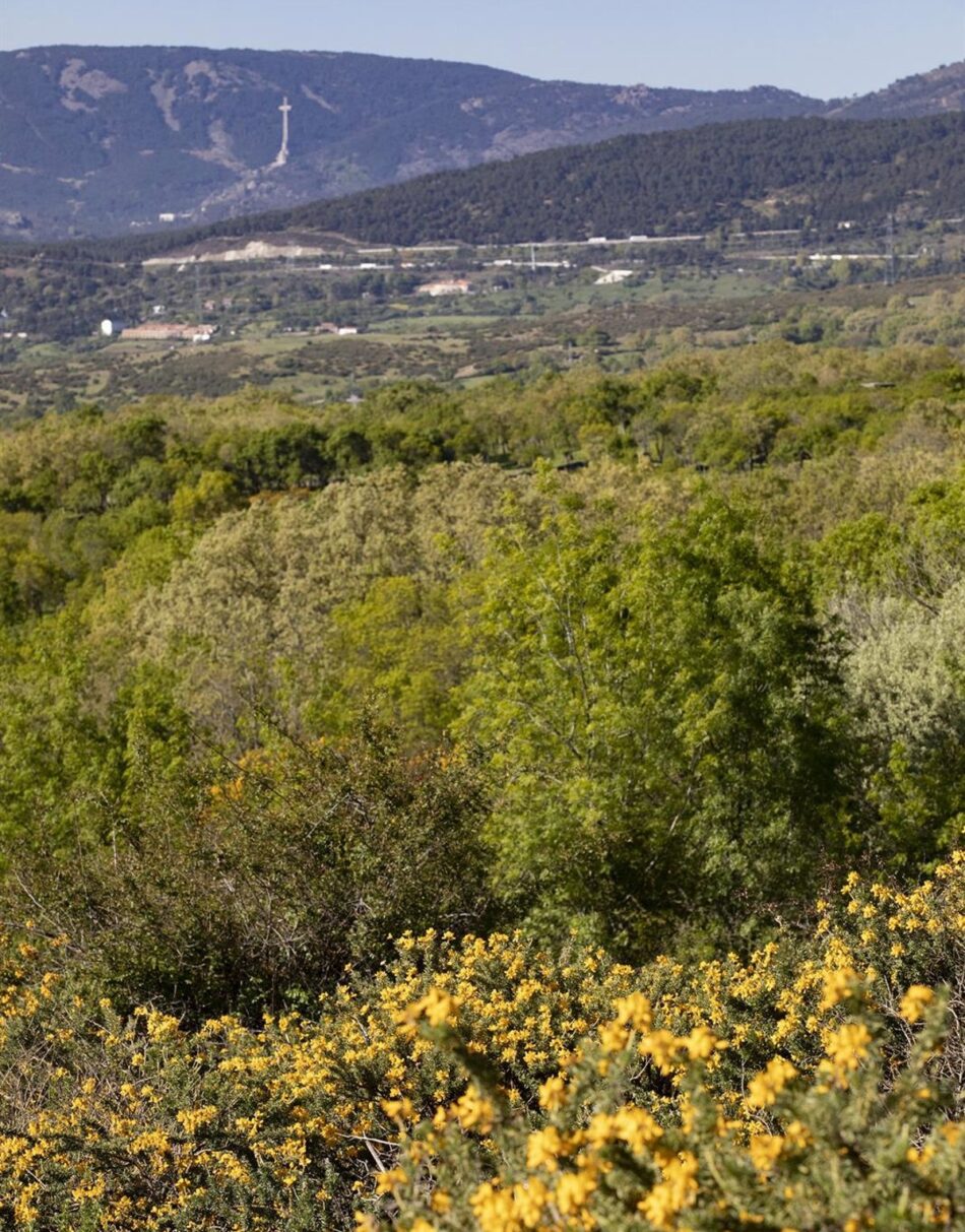 Ecologistas en Acción presenta recurso contra la licencia de construcción de una plaza para capeas en suelo protegido y a más de 1.200 metros de altitud