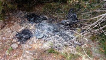 Detenidos un hombre y una mujer en Reus por tres incendios provocados en el Baix Camp (Tarragona)