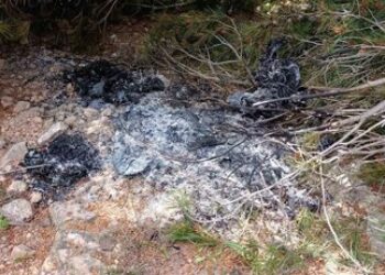 Detenidos un hombre y una mujer en Reus por tres incendios provocados en el Baix Camp (Tarragona)