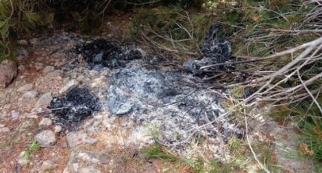 Detenidos un hombre y una mujer en Reus por tres incendios provocados en el Baix Camp (Tarragona)