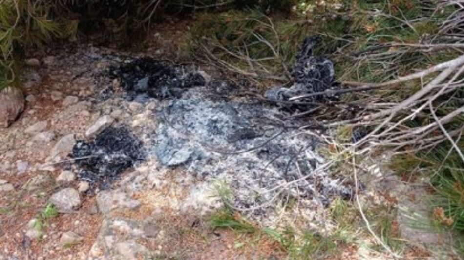 Detenidos un hombre y una mujer en Reus por tres incendios provocados en el Baix Camp (Tarragona)