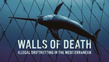 «Cortinas de la Muerte»: un nuevo documental revela las mortíferas redes de deriva en el Mediterráneo