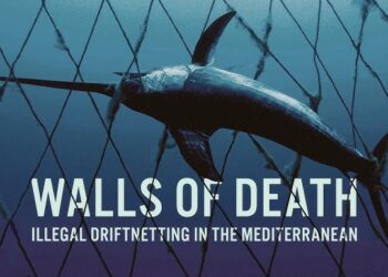 «Cortinas de la Muerte»: un nuevo documental revela las mortíferas redes de deriva en el Mediterráneo