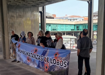 Comité Consultivo del Plan de Gestión del Lobo apuesta por seguir matando lobos de forma irregular en Asturias