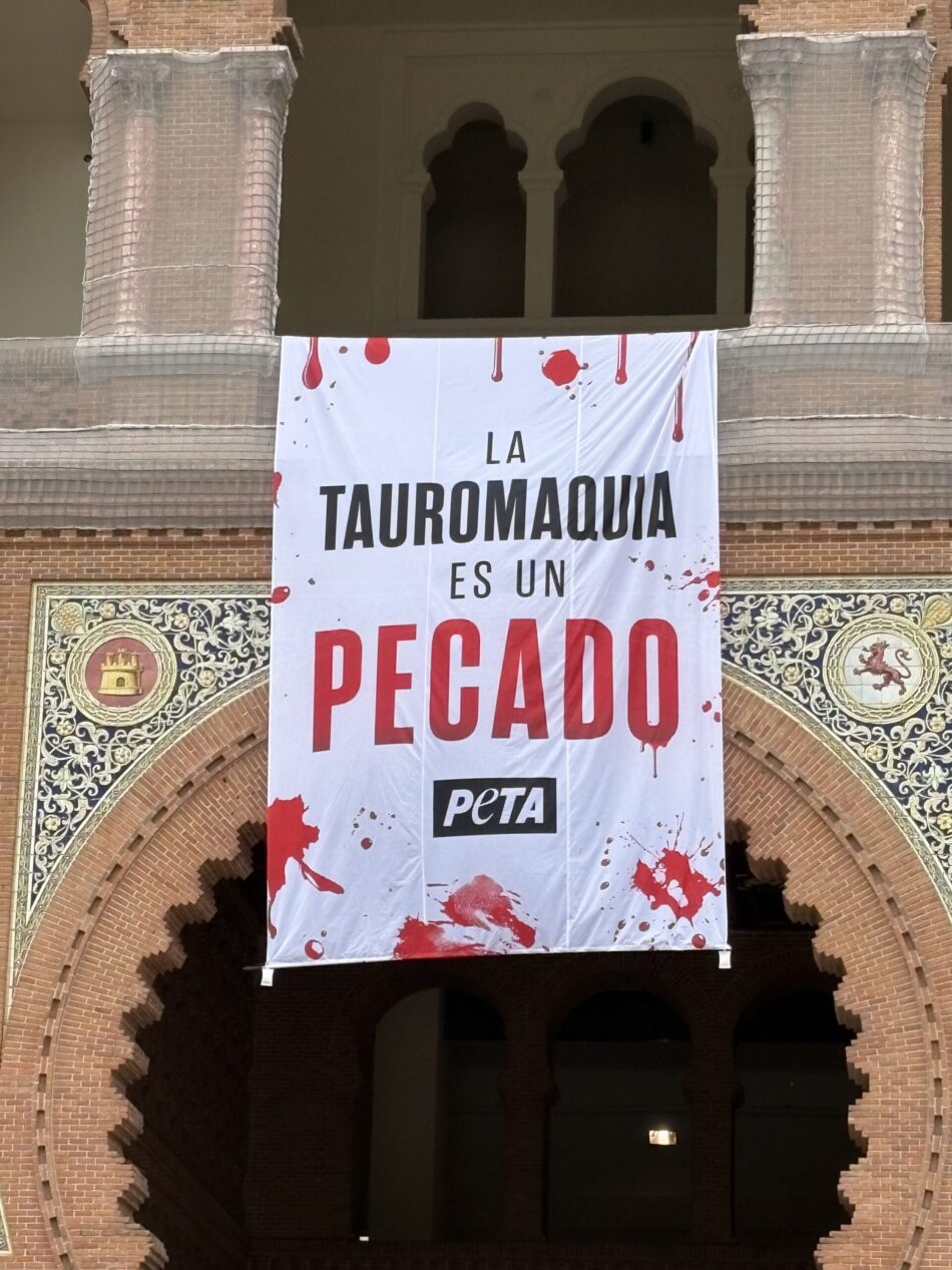 El mensaje de PETA: “Las corridas de toros son un pecado” toma la plaza de toros Las Ventas 