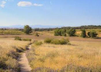 Presentan la nueva exposición sobre el Corredor Ecológico del Suroeste de Madrid