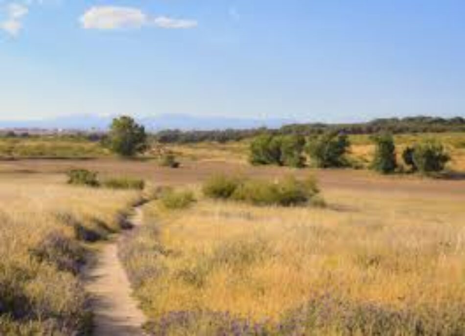 Presentan la nueva exposición sobre el Corredor Ecológico del Suroeste de Madrid