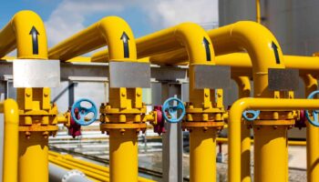 Gas No es Solución muestra su rechazo a la obligación de nuevos objetivos para el biometano