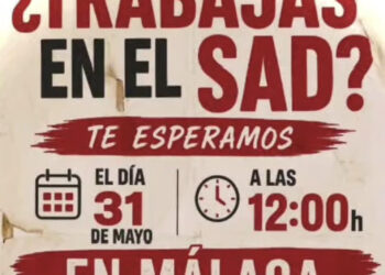 El Servicio de Atención Domiciliaria (SAD) recibe el apoyo mayoritario a una PNL que trata de dignificar los cuidados  