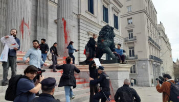 Finaliza el juicio contra nueve activistas que tiñeron de rojo el Congreso de los Diputados