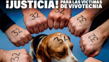 Comienza el juicio por el caso Vivotecnia: 7 y 8 de mayo en Madrid