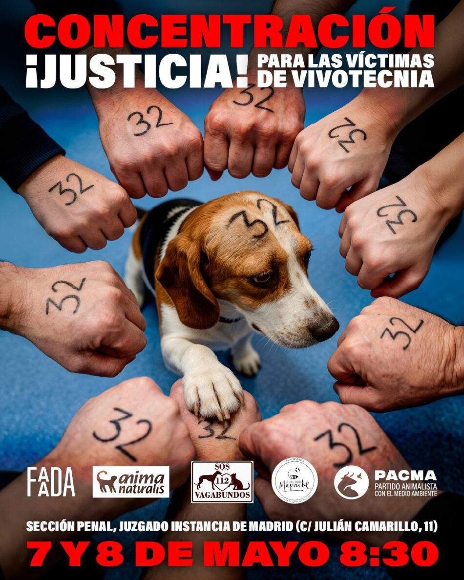 Comienza el juicio por el caso Vivotecnia: 7 y 8 de mayo en Madrid