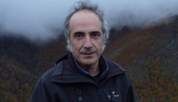 Alberto Fernández-Gil: “Algunas comunidades consideran favorable el estado del lobo en contra de toda la evidencia científica”