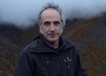 Alberto Fernández-Gil: “Algunas comunidades consideran favorable el estado del lobo en contra de toda la evidencia científica”