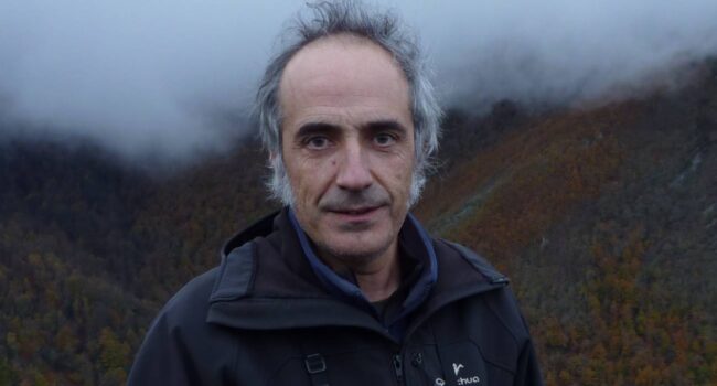 Alberto Fernández-Gil: “Algunas comunidades consideran favorable el estado del lobo en contra de toda la evidencia científica”